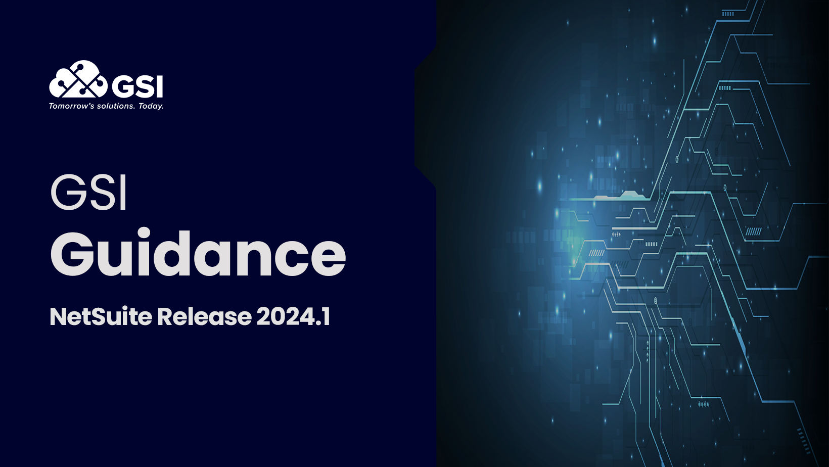 GSI Guidance through NetSuite Release 2024.1